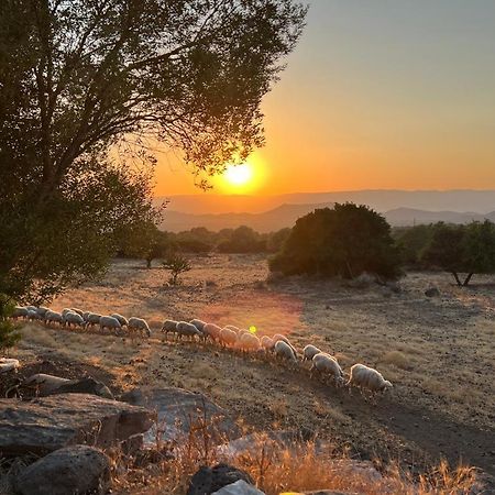 Su Saucu Βίλα Dorgali Εξωτερικό φωτογραφία