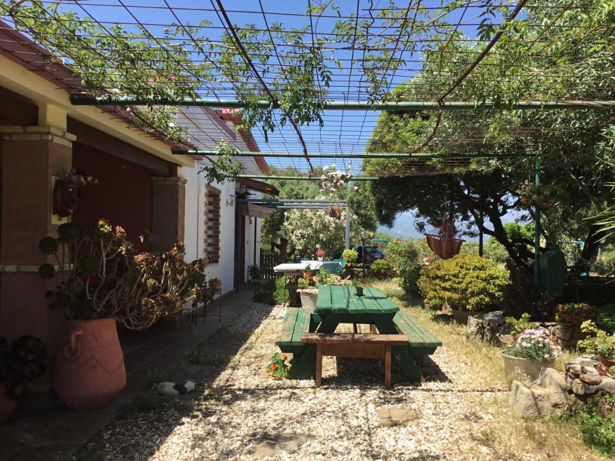 Su Saucu Βίλα Dorgali Εξωτερικό φωτογραφία