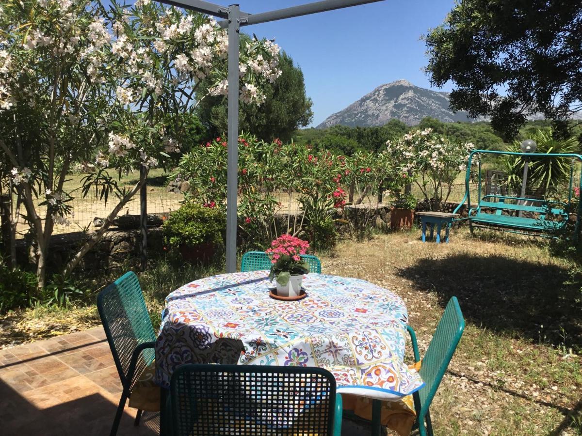 Su Saucu Βίλα Dorgali Εξωτερικό φωτογραφία