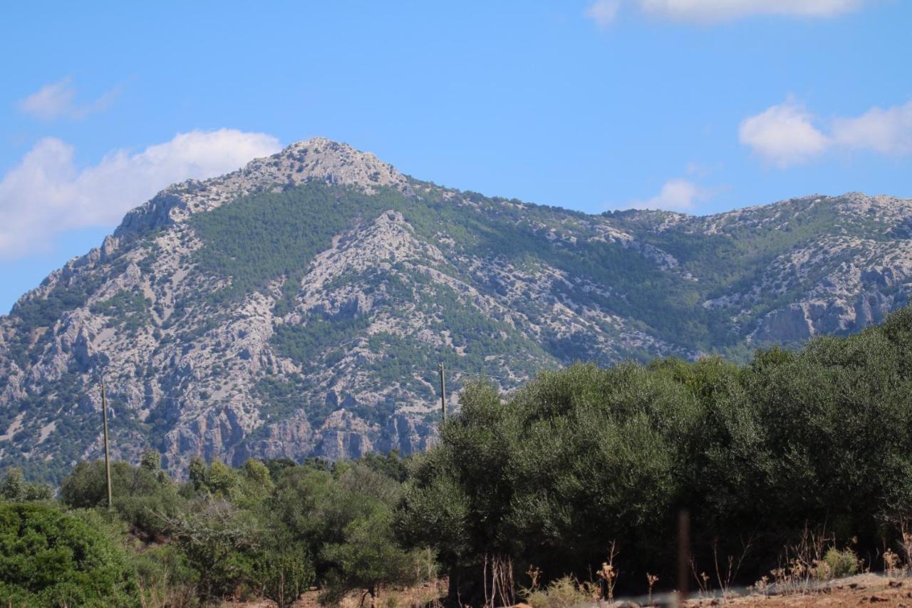 Su Saucu Βίλα Dorgali Εξωτερικό φωτογραφία