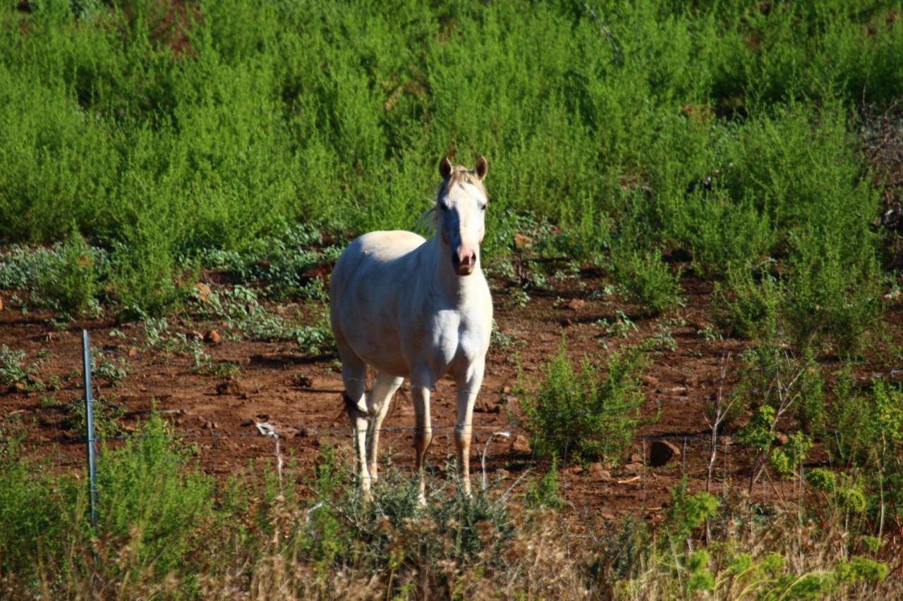 Su Saucu Βίλα Dorgali Εξωτερικό φωτογραφία