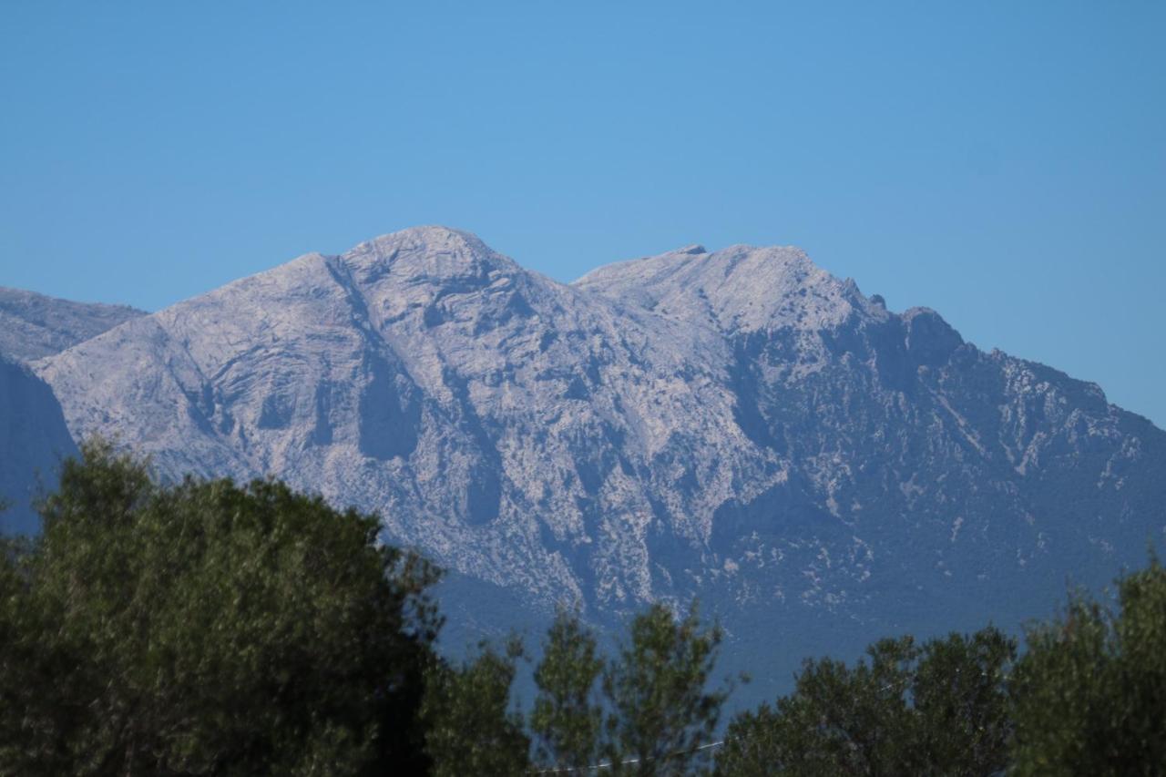 Su Saucu Βίλα Dorgali Εξωτερικό φωτογραφία